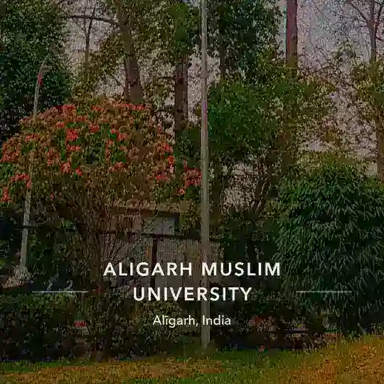 Amu jmi info group ✎ᝰ.