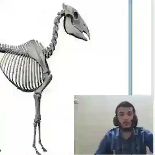 Dr( Ali- Saqr) anatomy lvl 1