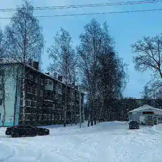 ALMZ Station