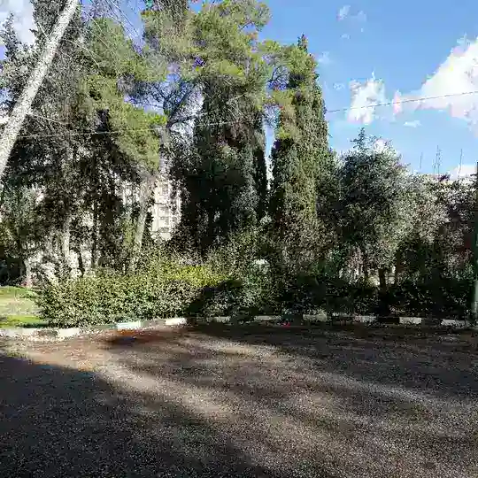 كروب تعارف سوريا و دردشة صبايا صداقة شباب حلب السبيل