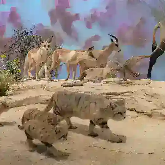 Indian living in QATAR