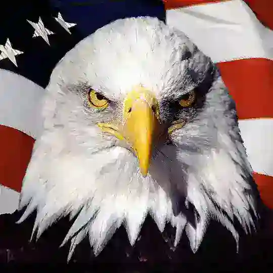 American Patriot Reality Check Chat