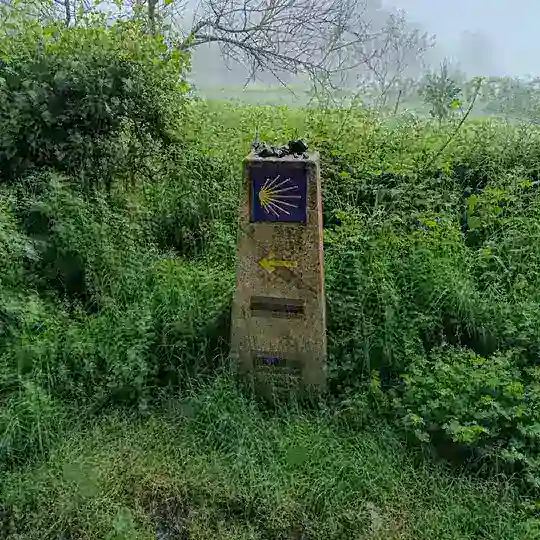 Amistad sin malos rollos π€π€