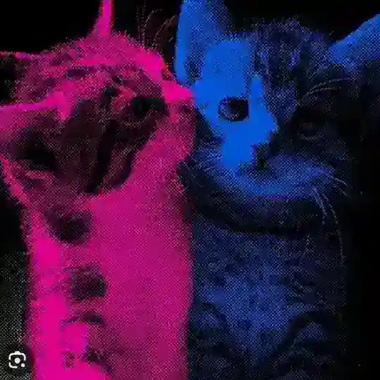 كروب تبادلات و مناقشات AMO