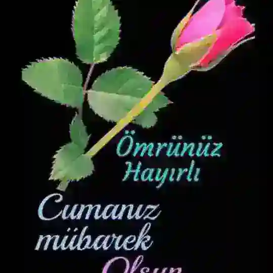B.T.C BİLGİ GRUBU