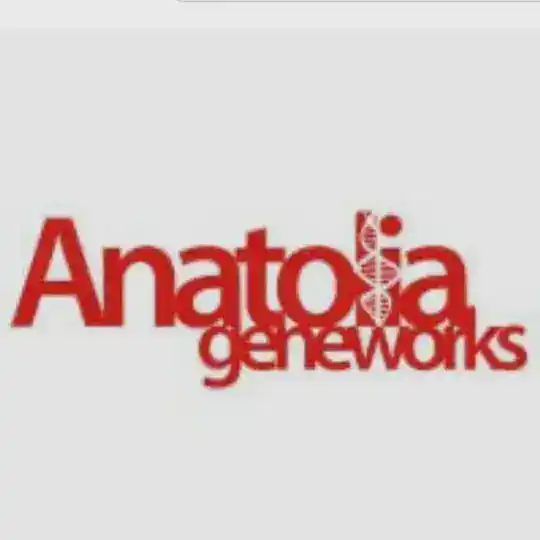 Anatolia Tanı Hisse