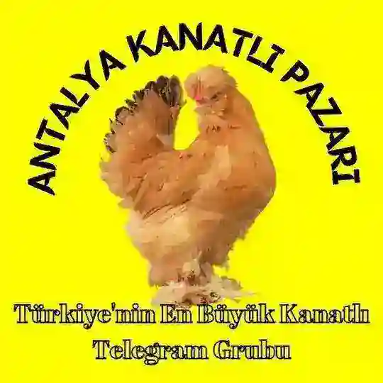 Antalya Kanatlı Pazarı🇹🇷
