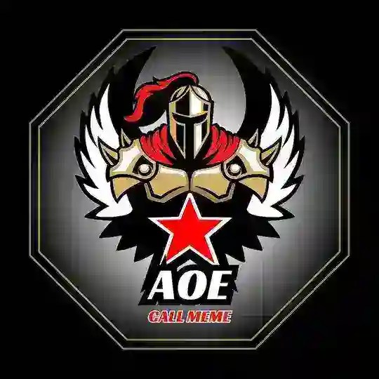 Aoe Call Meme chat