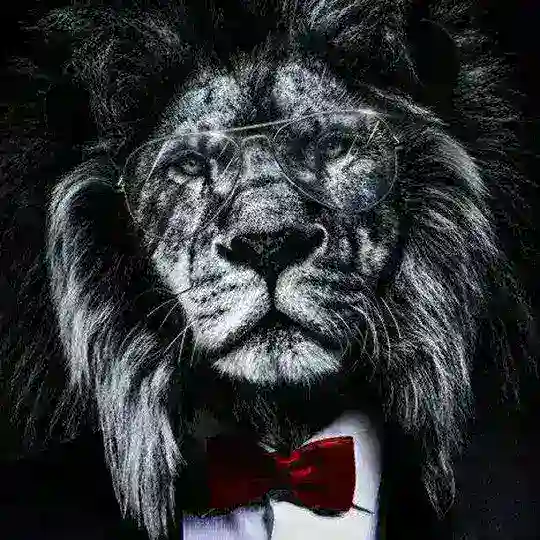 ➿අපි ශ්‍රී ලන්කා 🔱 බොය්ස් ඇන්ඩ් ග්‍රල්ස් ✴️