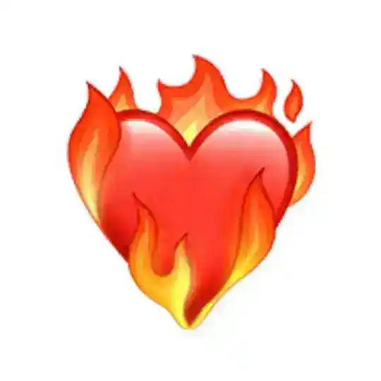 ARA BUL TÜRKİYE 🇹🇷