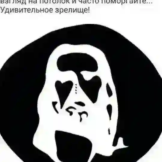 ARGOS01-предварительный чат