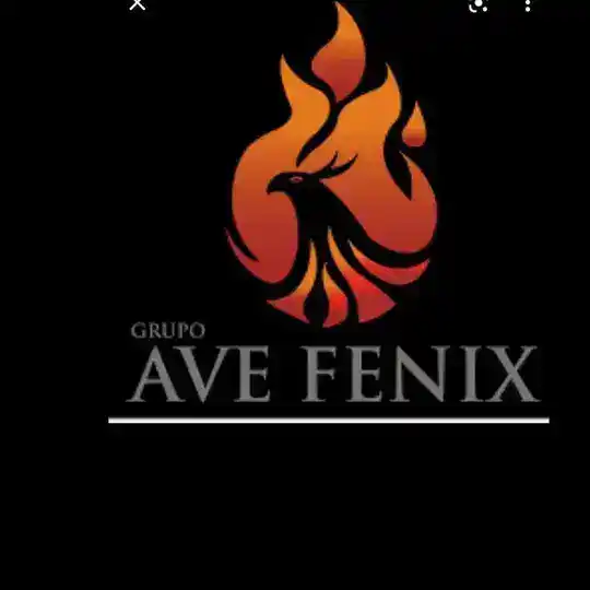 Grupo -" Ave Fenix "
