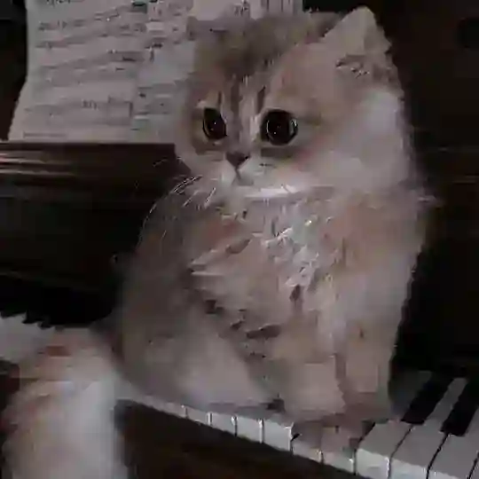 ᡣ𐭩ᴀꜱᴍᴏᴅᴇᴜꜱﮩ٨ـﮩﮩ٨ـ♡ﮩ٨ـﮩﮩ٨ـ