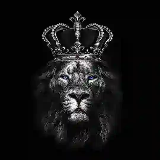 AZE/TEAM/WAR♧