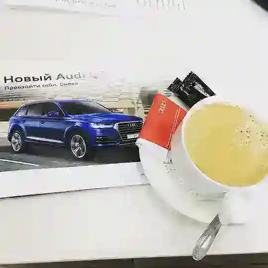Audi Q7 4L / 4M Tech