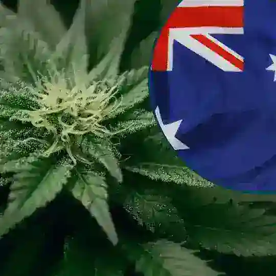 🇫🇰Australia_legacy 🇦🇺