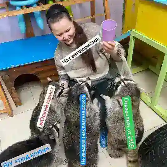 Чат АвтоЮриста :)