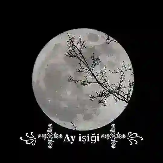 ꧁𒀱𝐀𝐲 𝐢ş𝐢ğ𝐢𒀱꧂