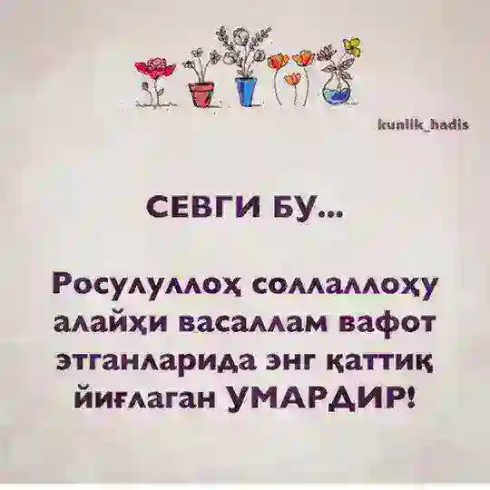 🌙DINDOSHLARIM🌙
