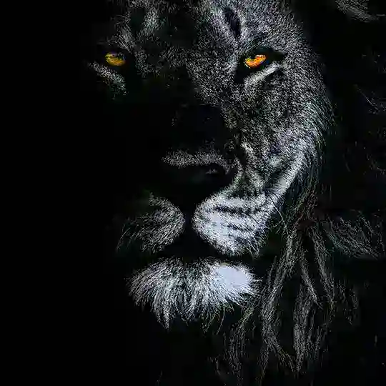 🖤⚜BAKU FiCE⚜🖤