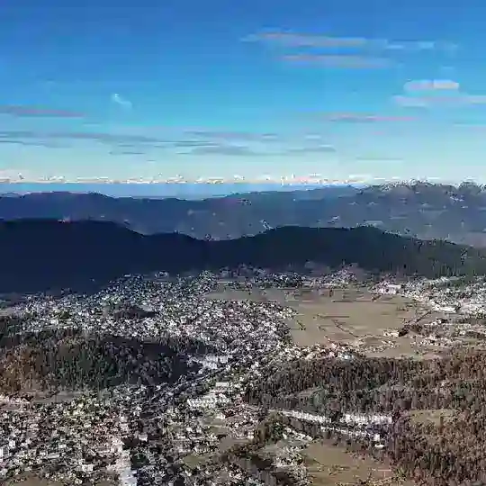 Bakuriani🇬🇪⛷️🐕🏂 Бакуриани Чат