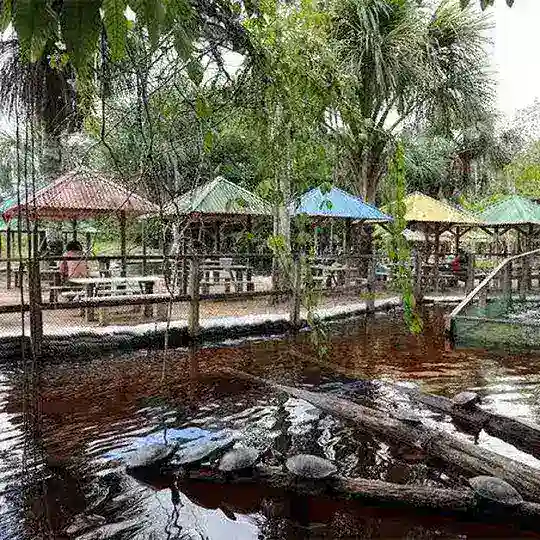 Balneários/Praias AM