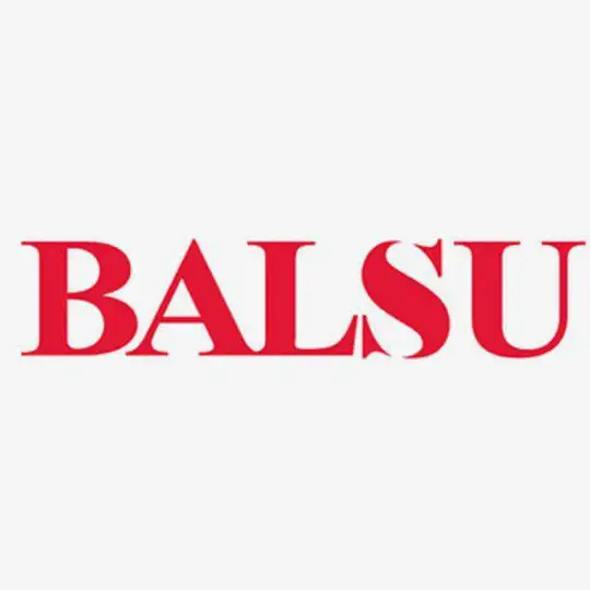Balsu Gıda Hisse