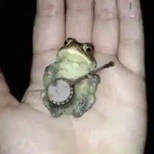 BANJO 🐸🪕