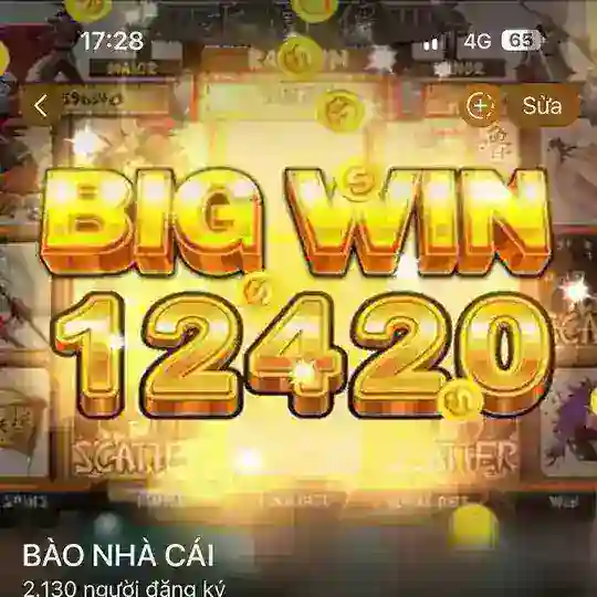 BÀO NHÀ CÁI