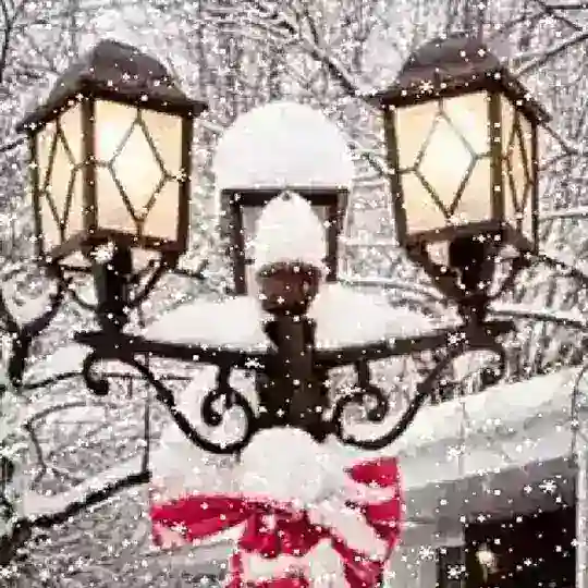 ‿✶UMIDIM SO'NDI彡