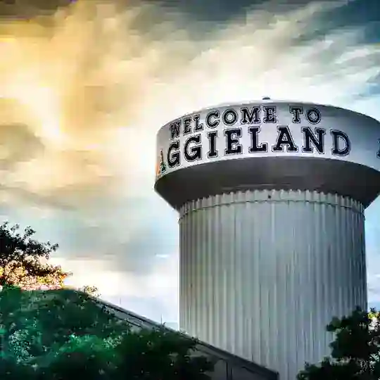 BCS 25+ Screening Room