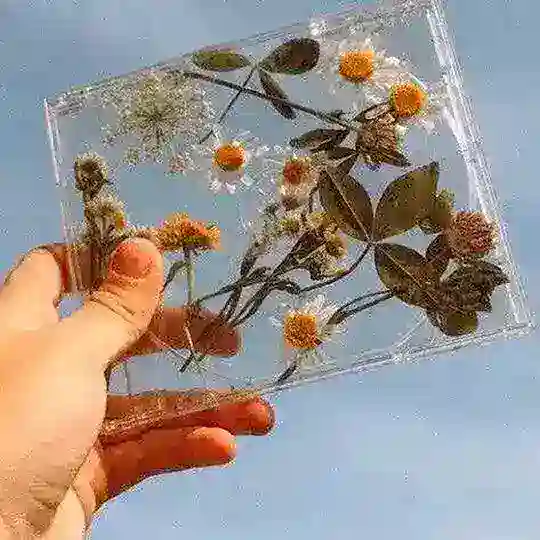 |Беседка|🍵