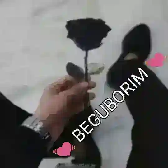 🌹🌹 B E G U B O R I M 🌹🌹