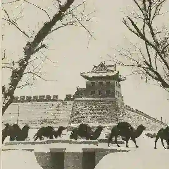 北京同城