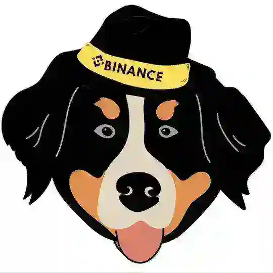 Bernese MountainDog_CN🇨🇳