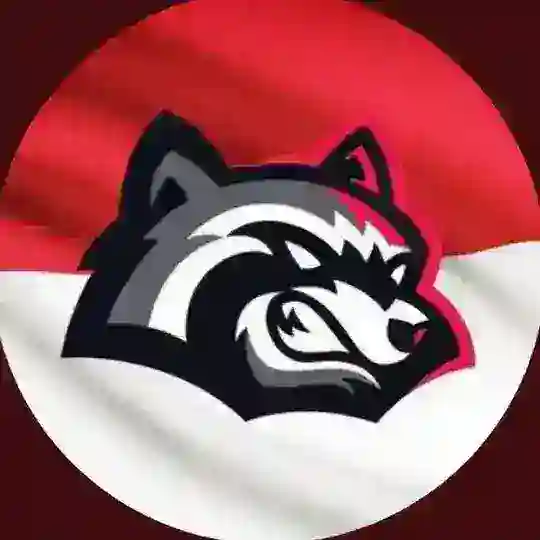 BetFury ID🇮🇩