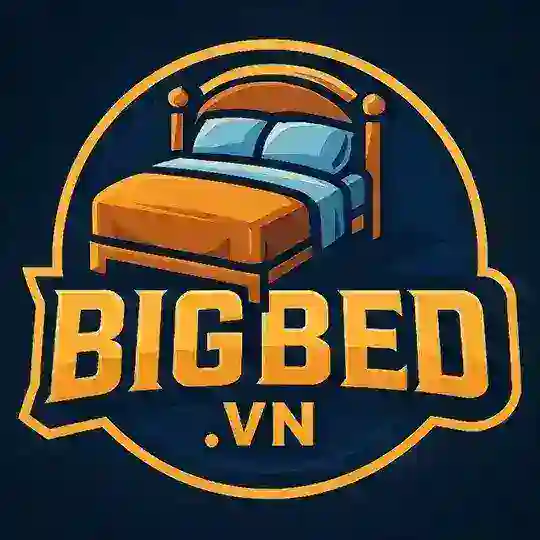 BIGDEB.VN (Chat)