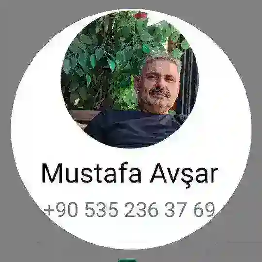 BİGWOLF BWT 🥷 DİKKAT DOLANDIRICI