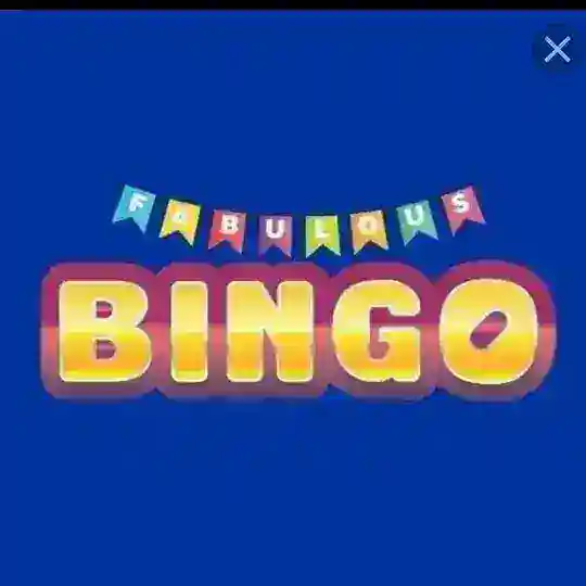 🔥BINGO🔥
