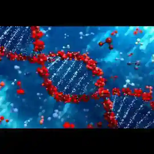 《BIOLOGIYA 》《KIMYO 》