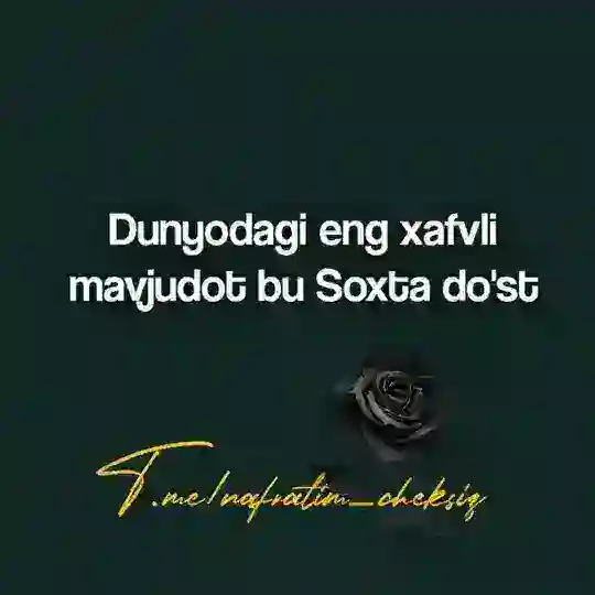แBir Kam Dunyoแ