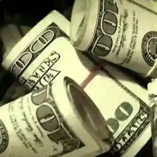 Bir tiyinsiz dõslar