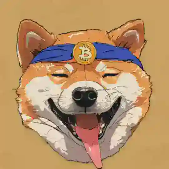 BitDoge