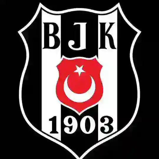 Beşiktaş Fan Token
