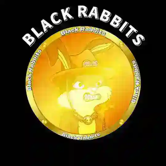 Black Rabbits | China🇨🇳
