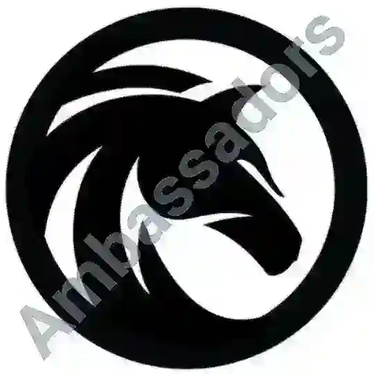 Black Stallion Ambassadors