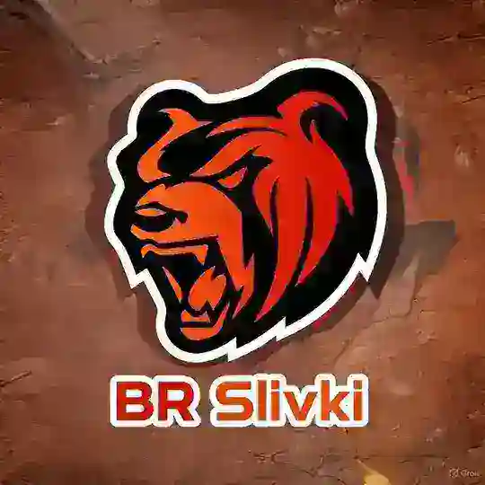 BR Slivki 😈 | Чатик обсуждения