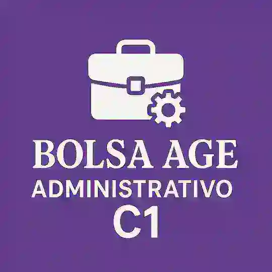 Bolsa AGE Administrativo 🟣