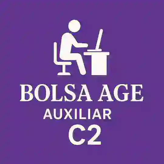 Bolsa AGE Auxiliar🟣