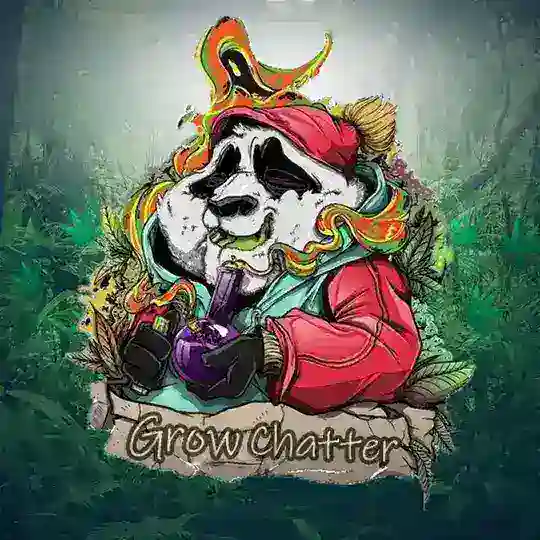 BomzhGrow Chat